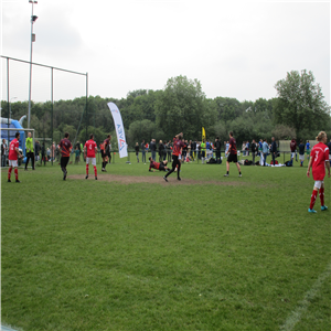 IMG_3528.JPG